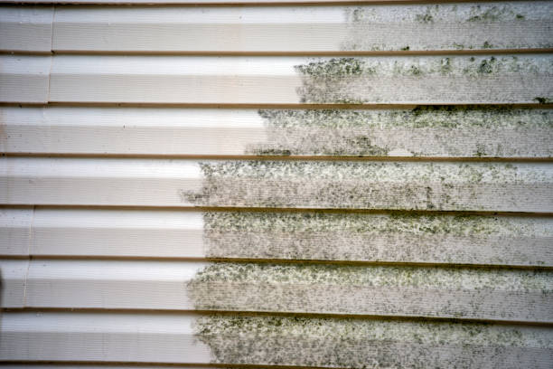 Best Hoarding Cleanup  in Romeo, MI